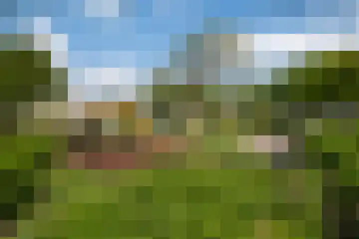 Schepenen 14 Wijk bij Duurstede thumbnail 58