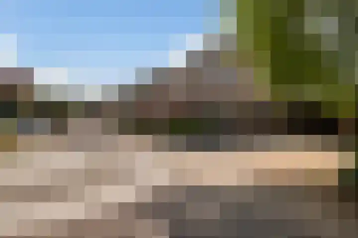 Schepenen 14 Wijk bij Duurstede thumbnail 60