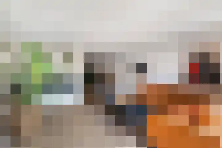 Schepenen 14 Wijk bij Duurstede thumbnail 9