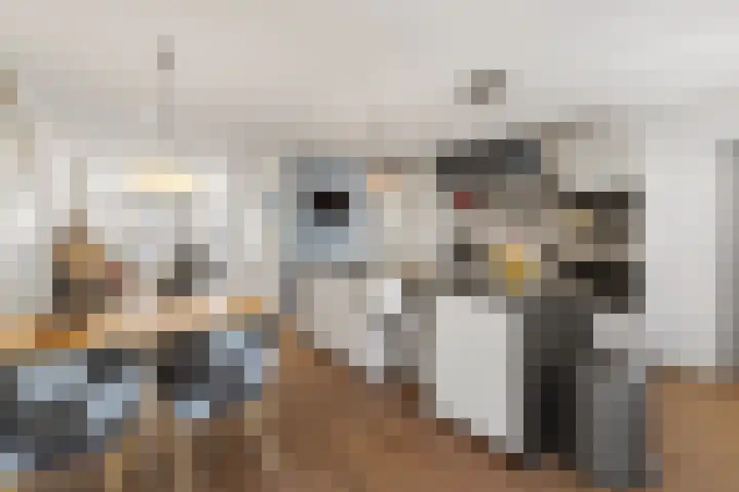 Schepenen 15 Zuid-Scharwoude thumbnail 7