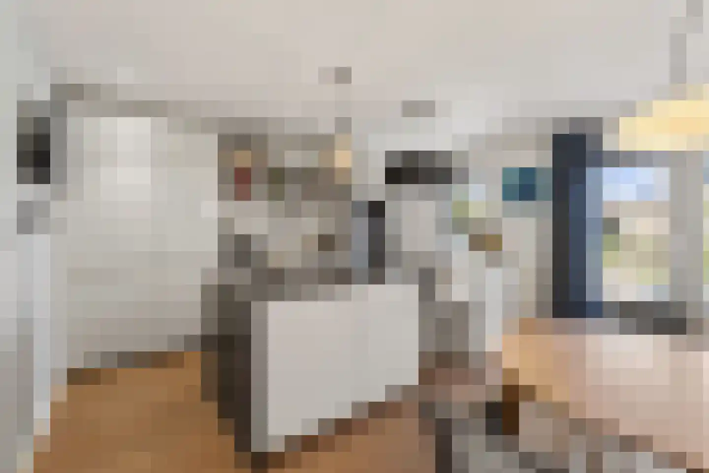 Schepenen 15 Zuid-Scharwoude thumbnail 8