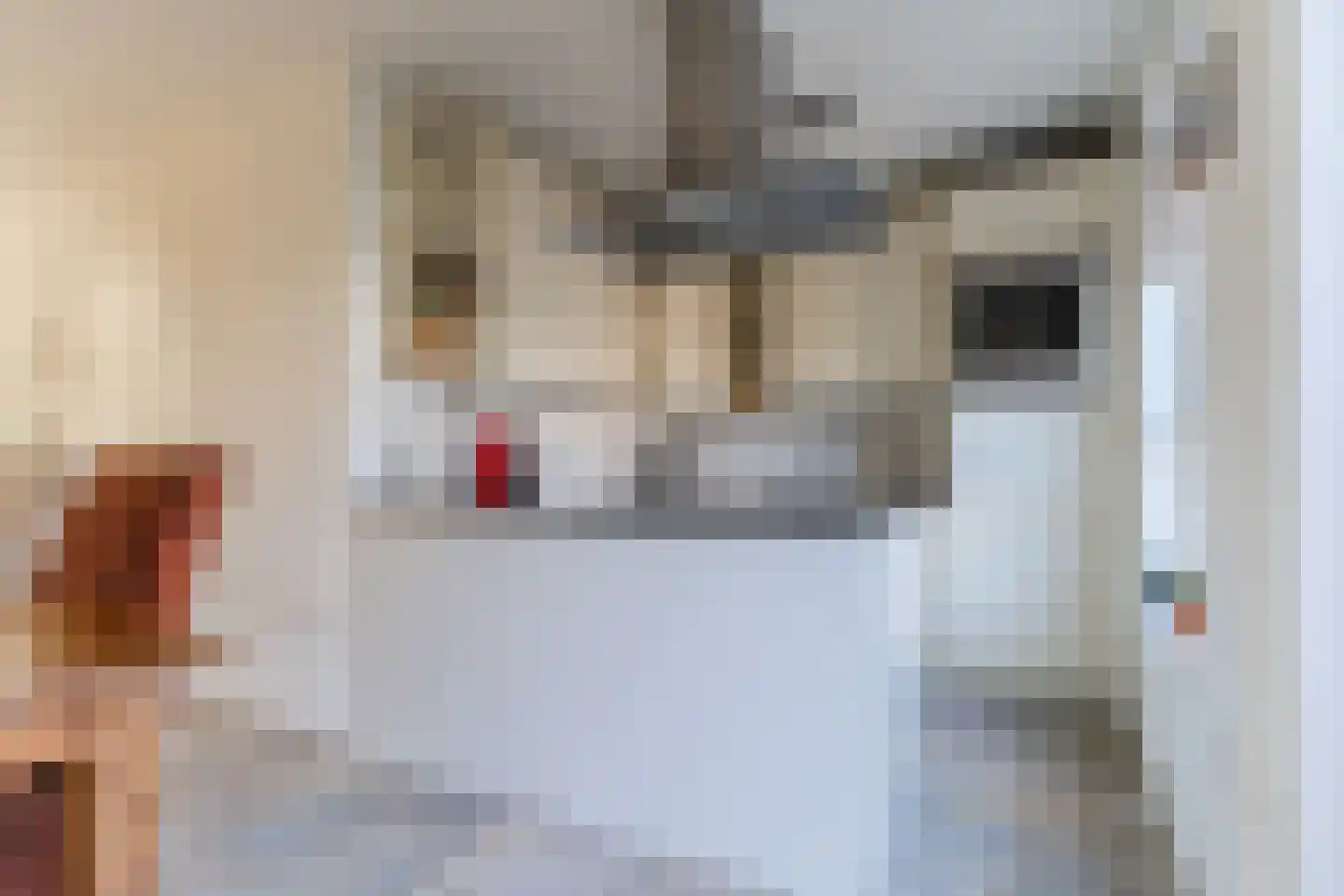Schepenen 17 Zuid-Scharwoude thumbnail 17