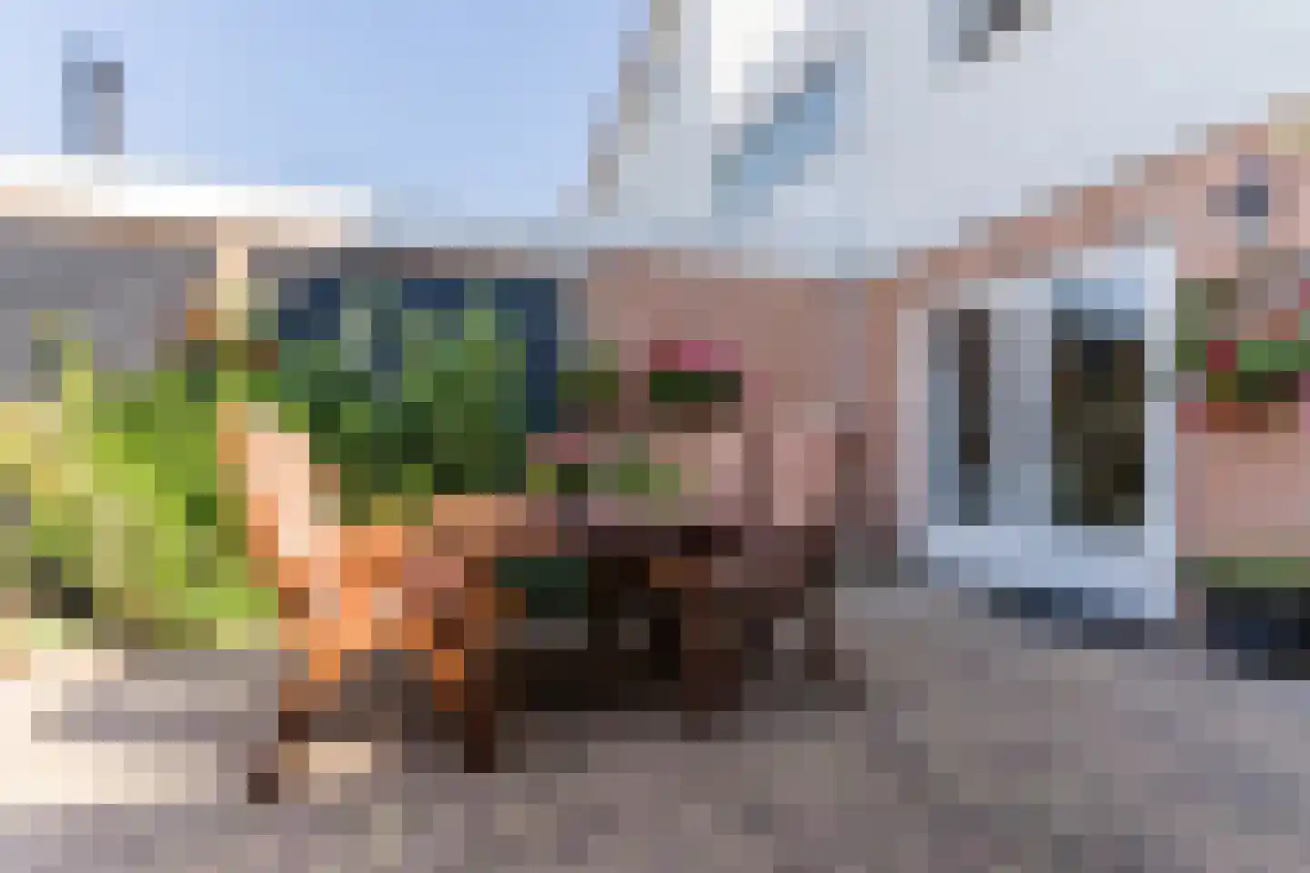 Schepenen 17 Zuid-Scharwoude thumbnail 44