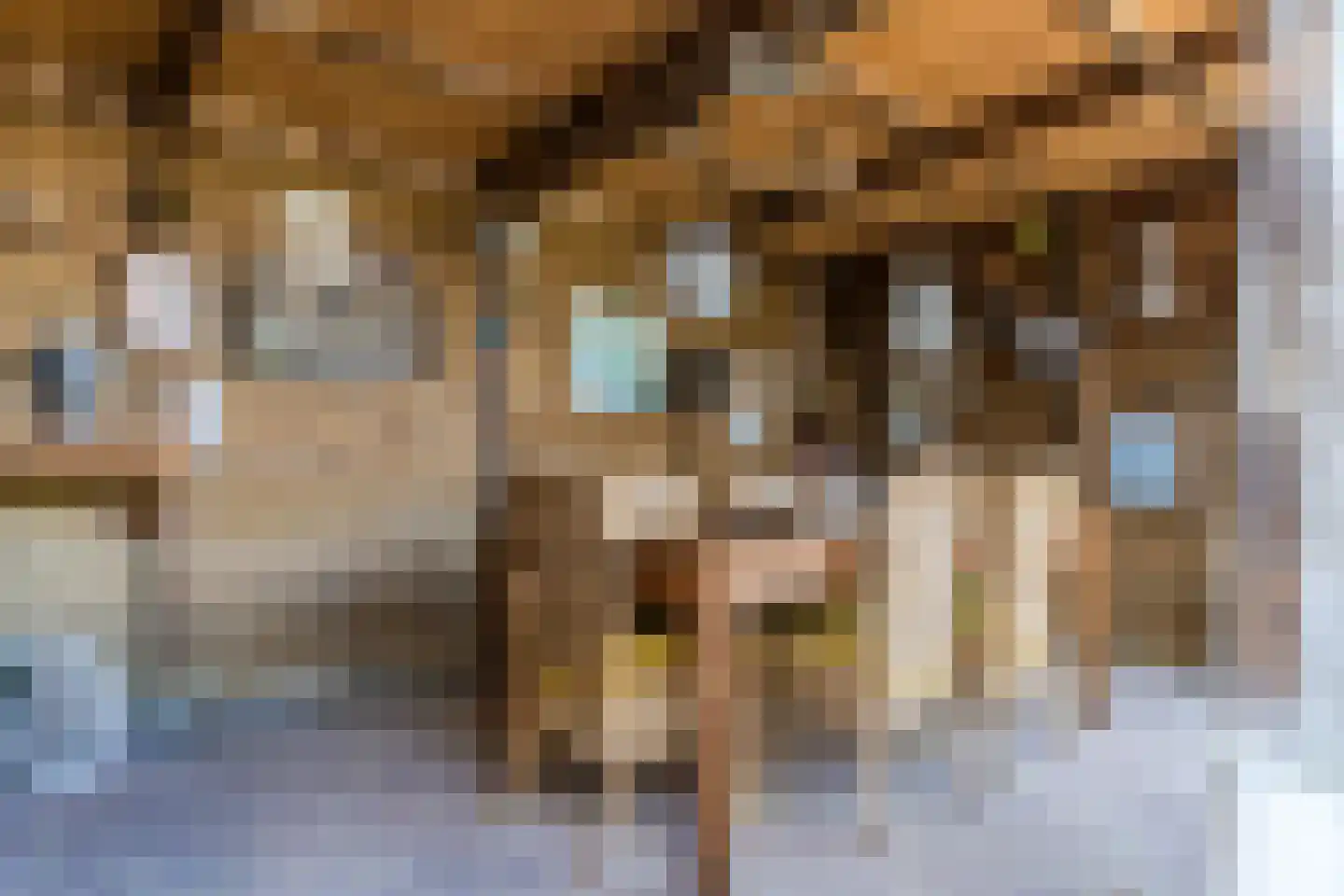 Schepenen 17 Zuid-Scharwoude thumbnail 47