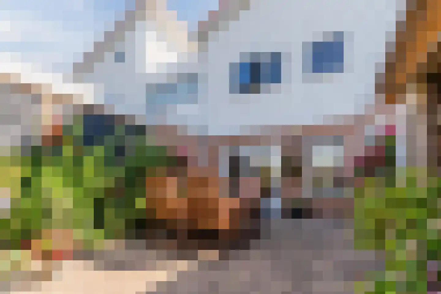 Schepenen 17 Zuid-Scharwoude thumbnail 51