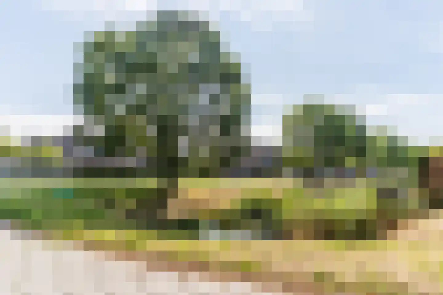 Schepenen 17 Zuid-Scharwoude thumbnail 56