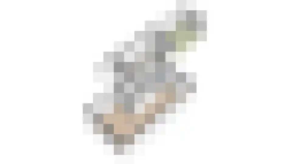 Schepenen 17 Zuid-Scharwoude thumbnail 59