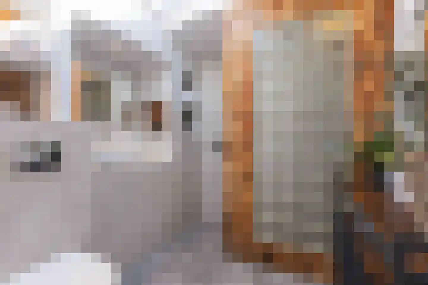 Schepenen 19 Hoorn thumbnail 49