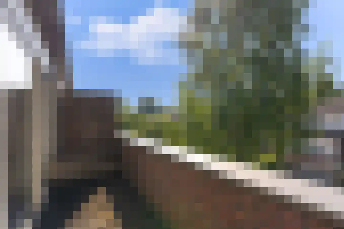 Schepenen 19 Hoorn thumbnail 61