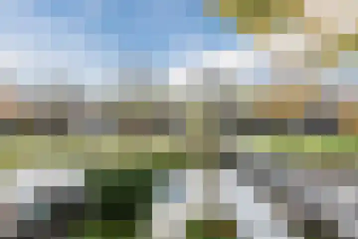 Schepenen 2 Zuid-Scharwoude thumbnail 34