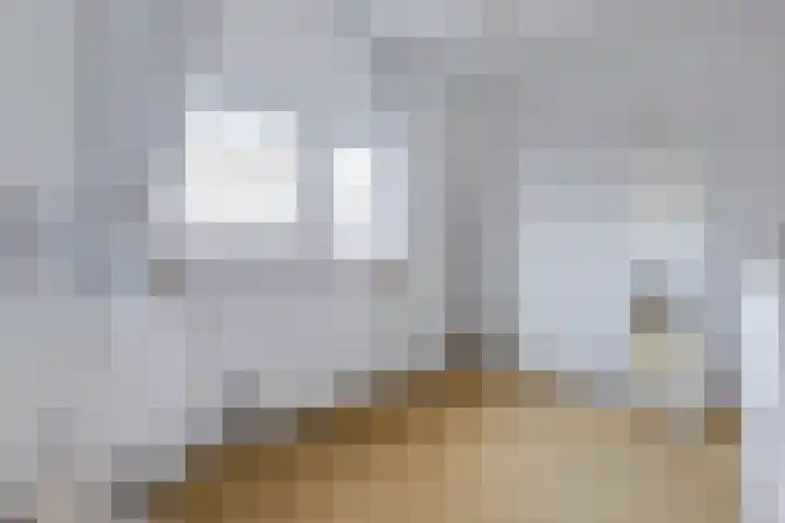 Schepenen 2 Zuid-Scharwoude thumbnail 37