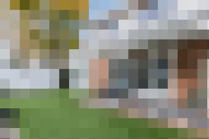 Schepenen 2 Zuid-Scharwoude thumbnail 47