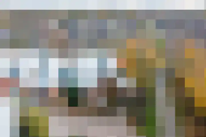 Schepenen 2 Zuid-Scharwoude thumbnail 5