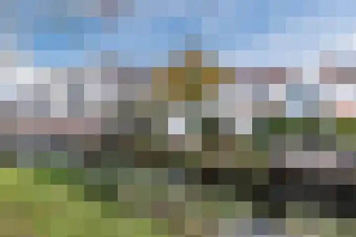 Schepenen 2 Zuid-Scharwoude thumbnail 54