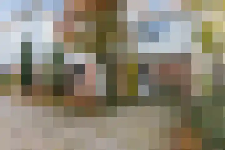 Schepenen 2 Zuid-Scharwoude thumbnail 6