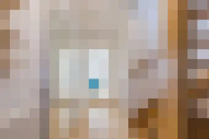 Schepenen 2 Zuid-Scharwoude thumbnail 8