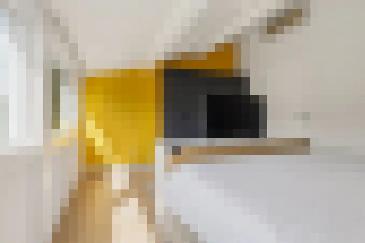 Schepenen 25 Hoorn thumbnail 32
