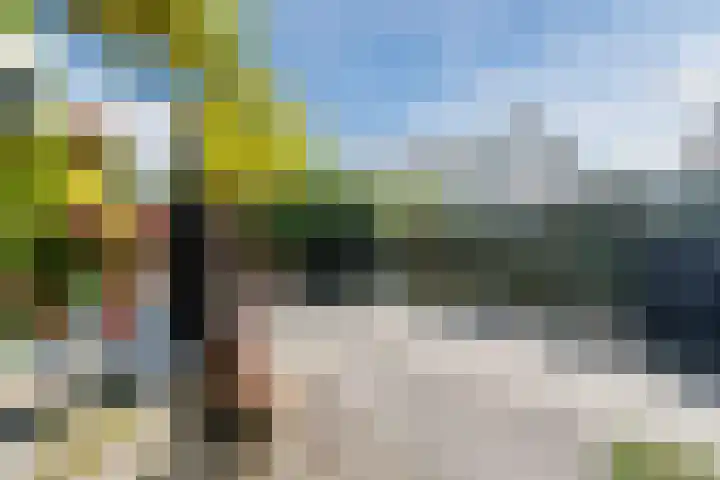 Schepenen 3 Zuid-Scharwoude thumbnail 33