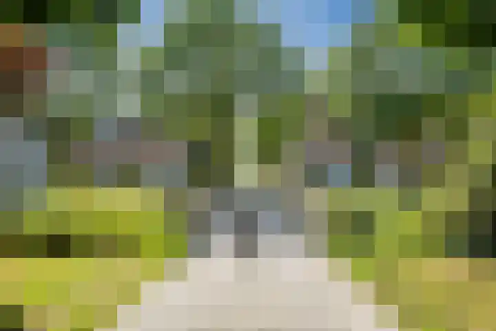 Schepenen 3 Zuid-Scharwoude thumbnail 38