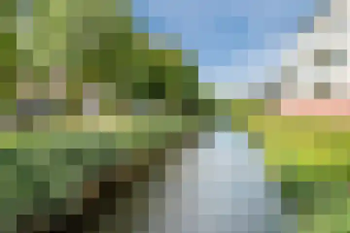 Schepenen 3 Zuid-Scharwoude thumbnail 39