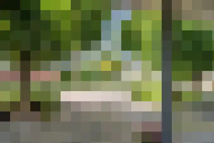 Schepenen 3 Zuid-Scharwoude thumbnail 44