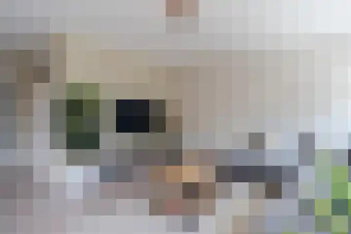 Schepenen 3 Zuid-Scharwoude thumbnail 5