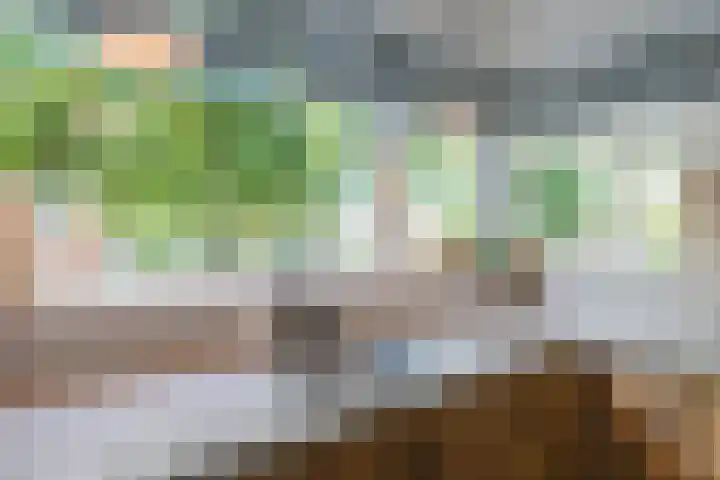 Schepenen 3 Zuid-Scharwoude thumbnail 9