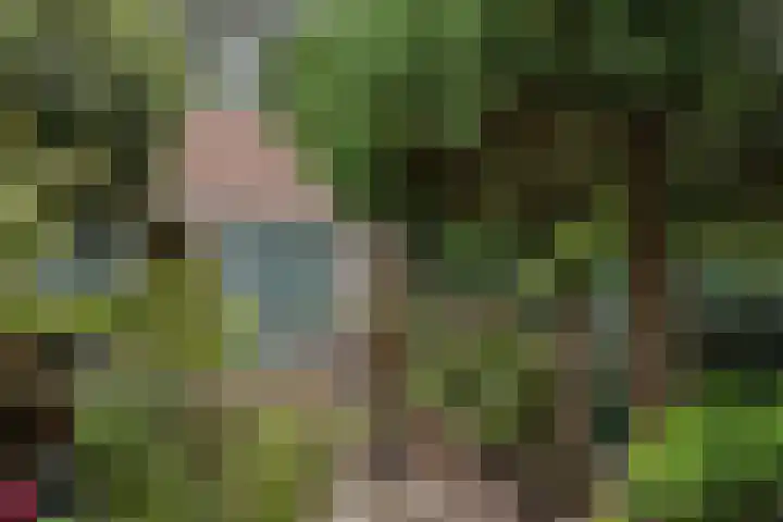 Schepenen 32 Hoorn thumbnail 26