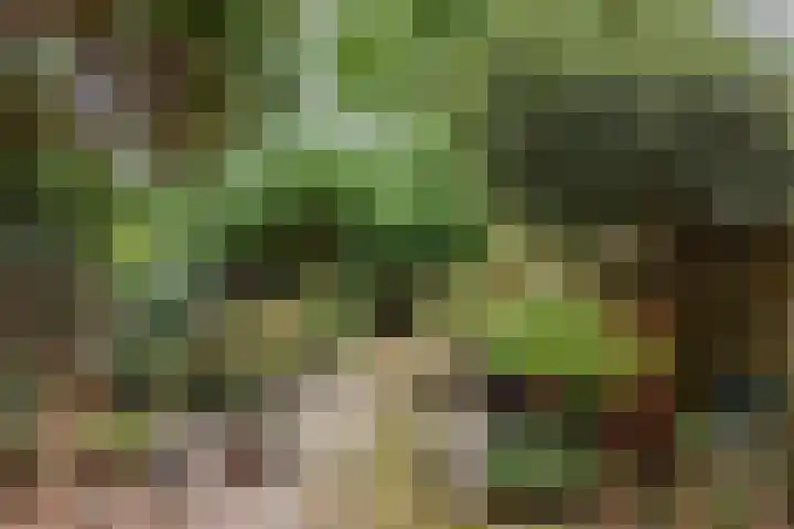 Schepenen 32 Hoorn thumbnail 27