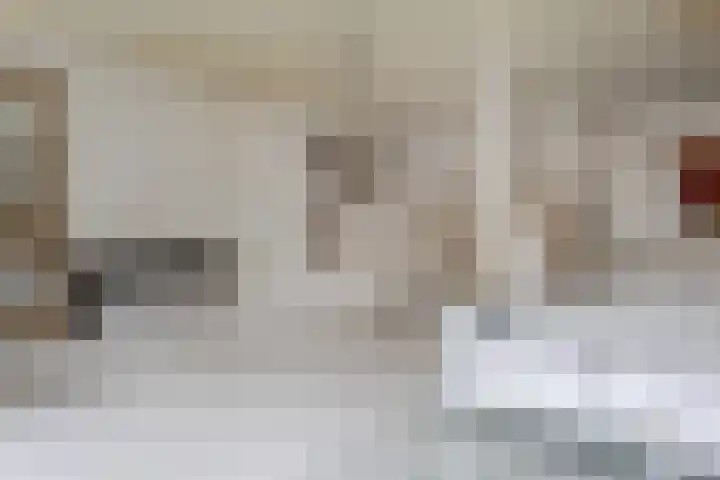 Schepenen 32 Hoorn thumbnail 8