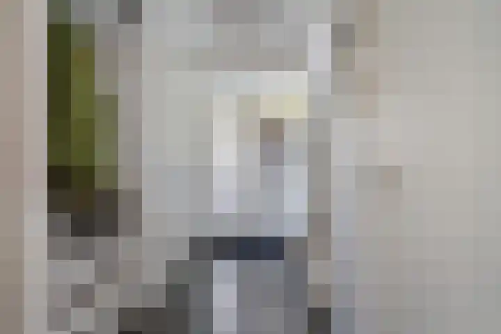 Schepenen 48 Wijk bij Duurstede thumbnail 12