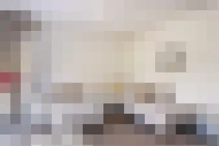 Schepenen 48 Wijk bij Duurstede thumbnail 15