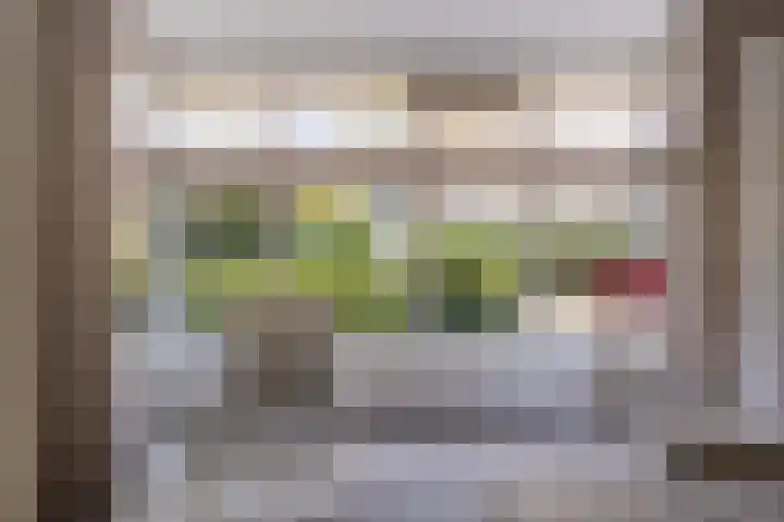 Schepenen 48 Wijk bij Duurstede thumbnail 17
