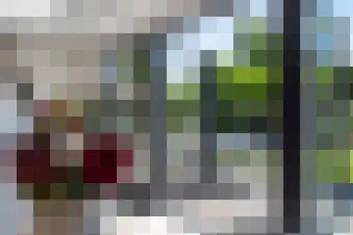 Schepenen 48 Wijk bij Duurstede thumbnail 24