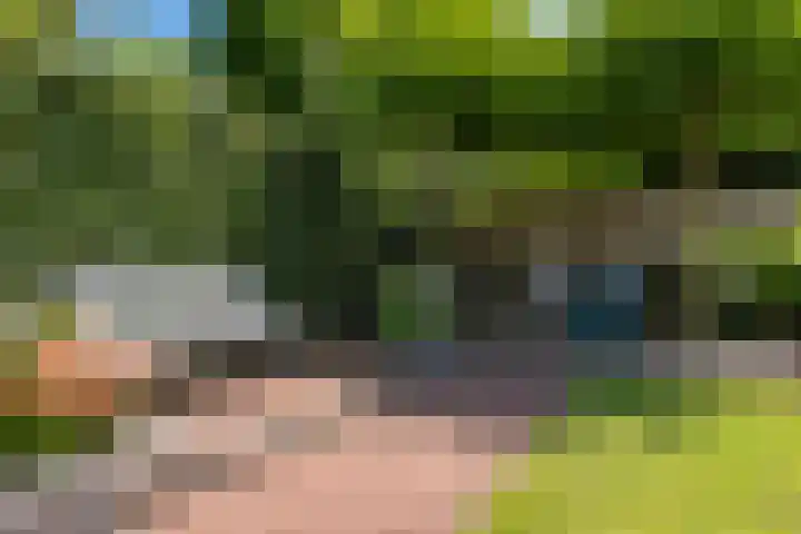 Schepenen 48 Wijk bij Duurstede thumbnail 32