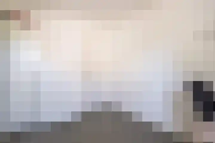 Schepenen 48 Wijk bij Duurstede thumbnail 44