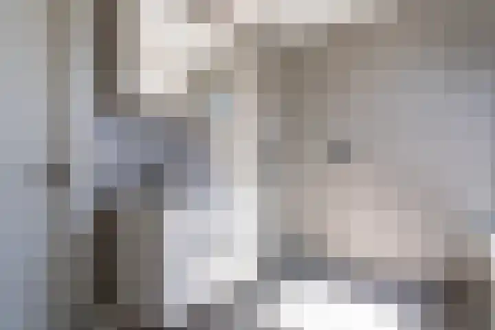 Schepenen 48 Wijk bij Duurstede thumbnail 46