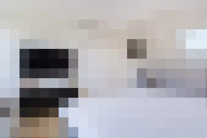Schepenen 48 Wijk bij Duurstede thumbnail 53