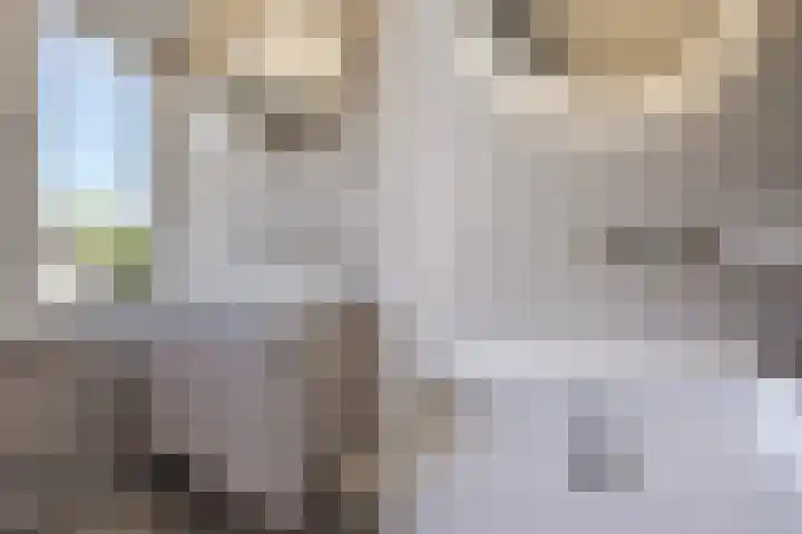 Schepenen 48 Wijk bij Duurstede thumbnail 57