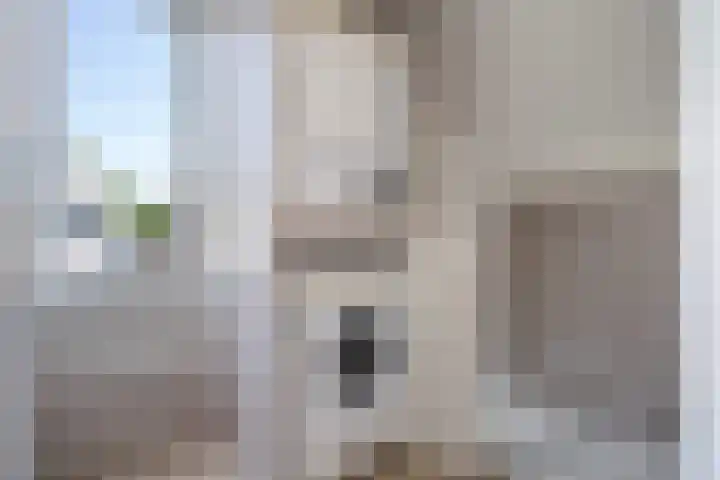 Schepenen 48 Wijk bij Duurstede thumbnail 58