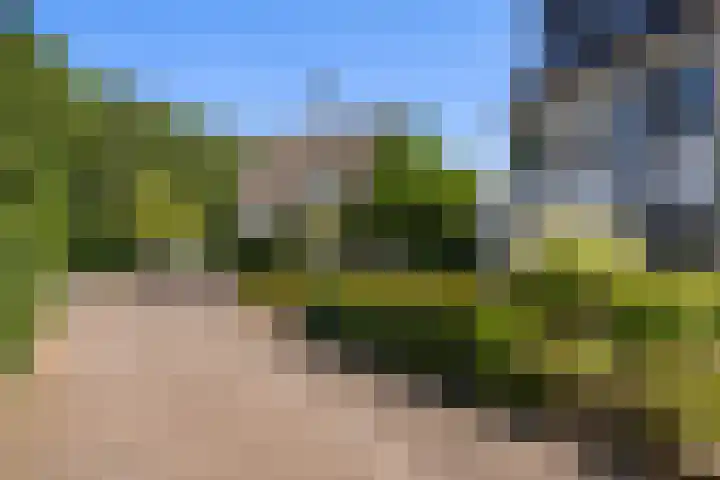 Schepenen 48 Wijk bij Duurstede thumbnail 6