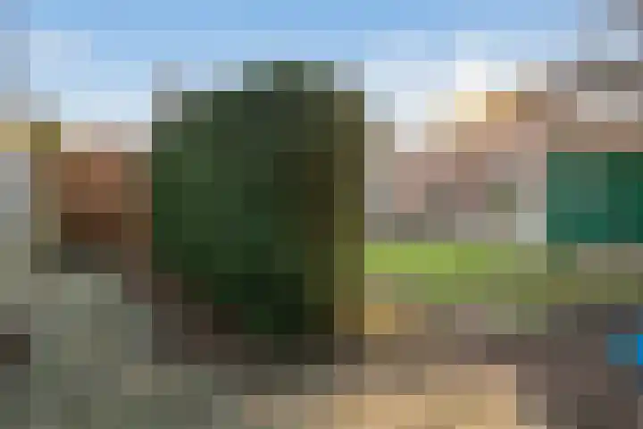 Schepenen 55 Hoorn thumbnail 21