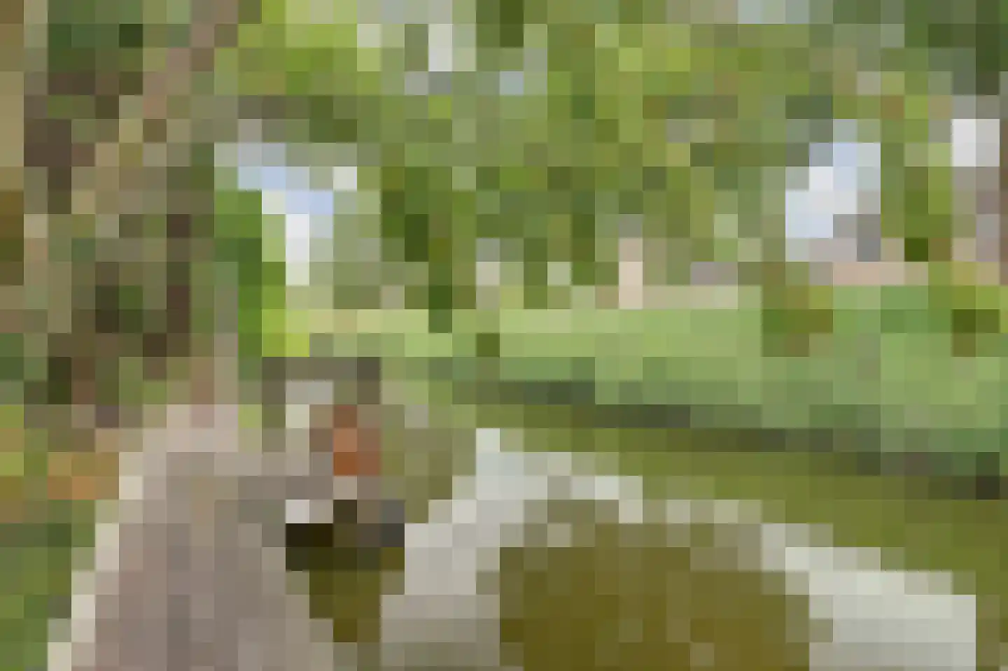 Schepenen 6 Zuid-Scharwoude thumbnail 4