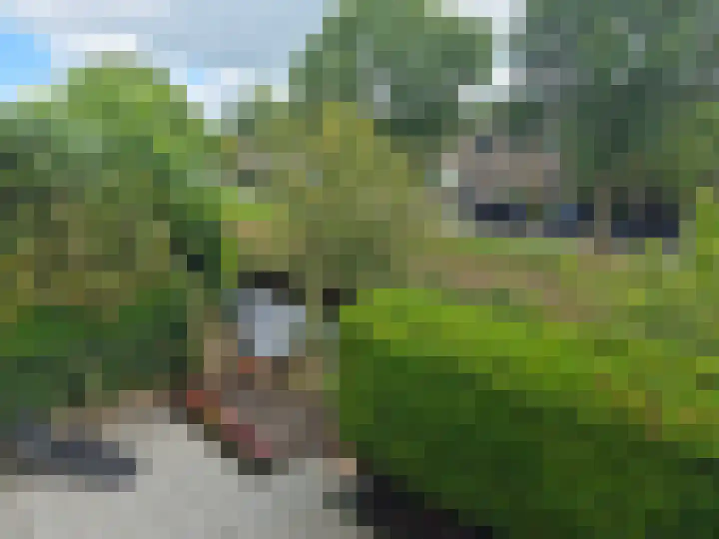 Schepenen 6 Zuid-Scharwoude thumbnail 40