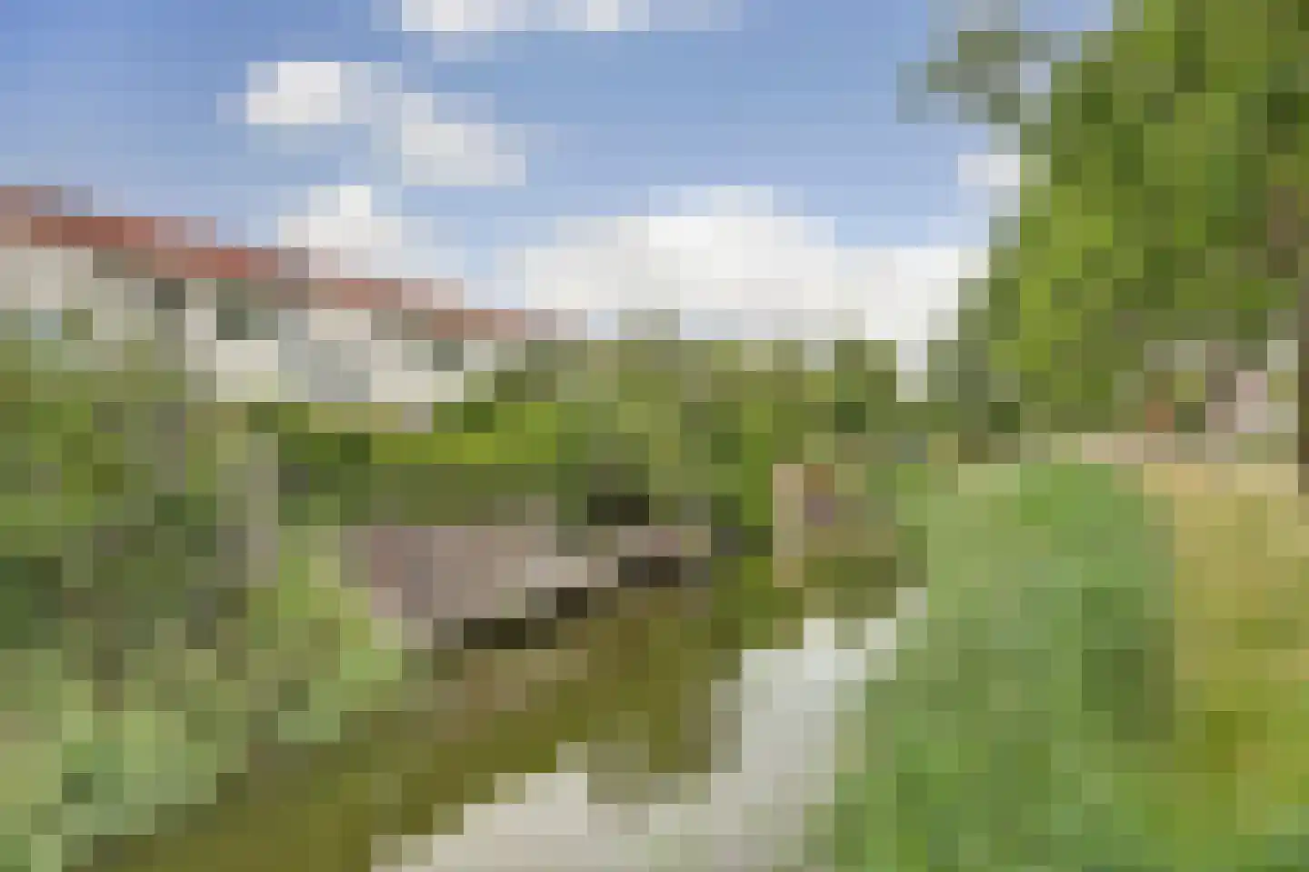 Schepenen 6 Zuid-Scharwoude thumbnail 46
