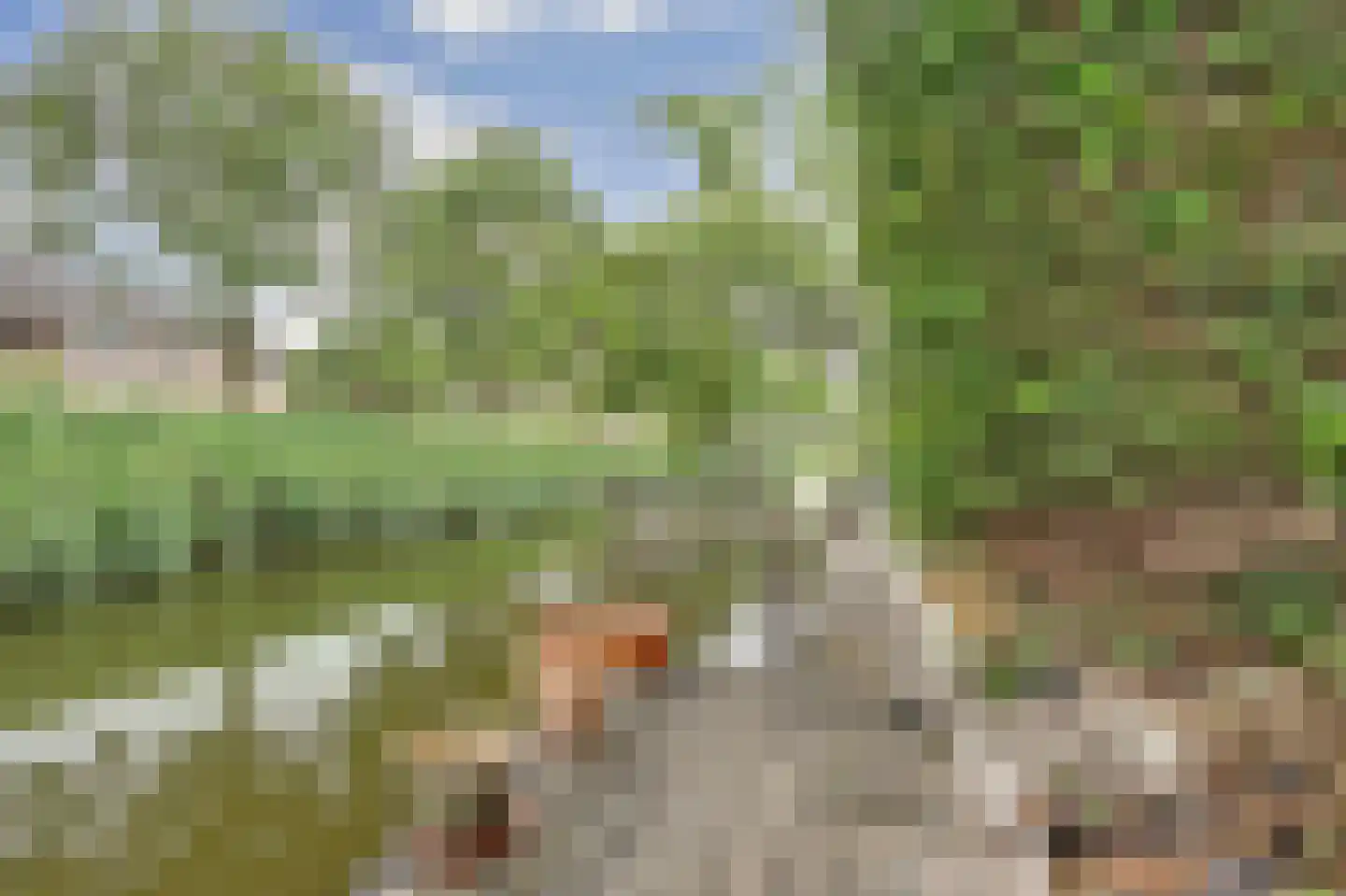 Schepenen 6 Zuid-Scharwoude thumbnail 47