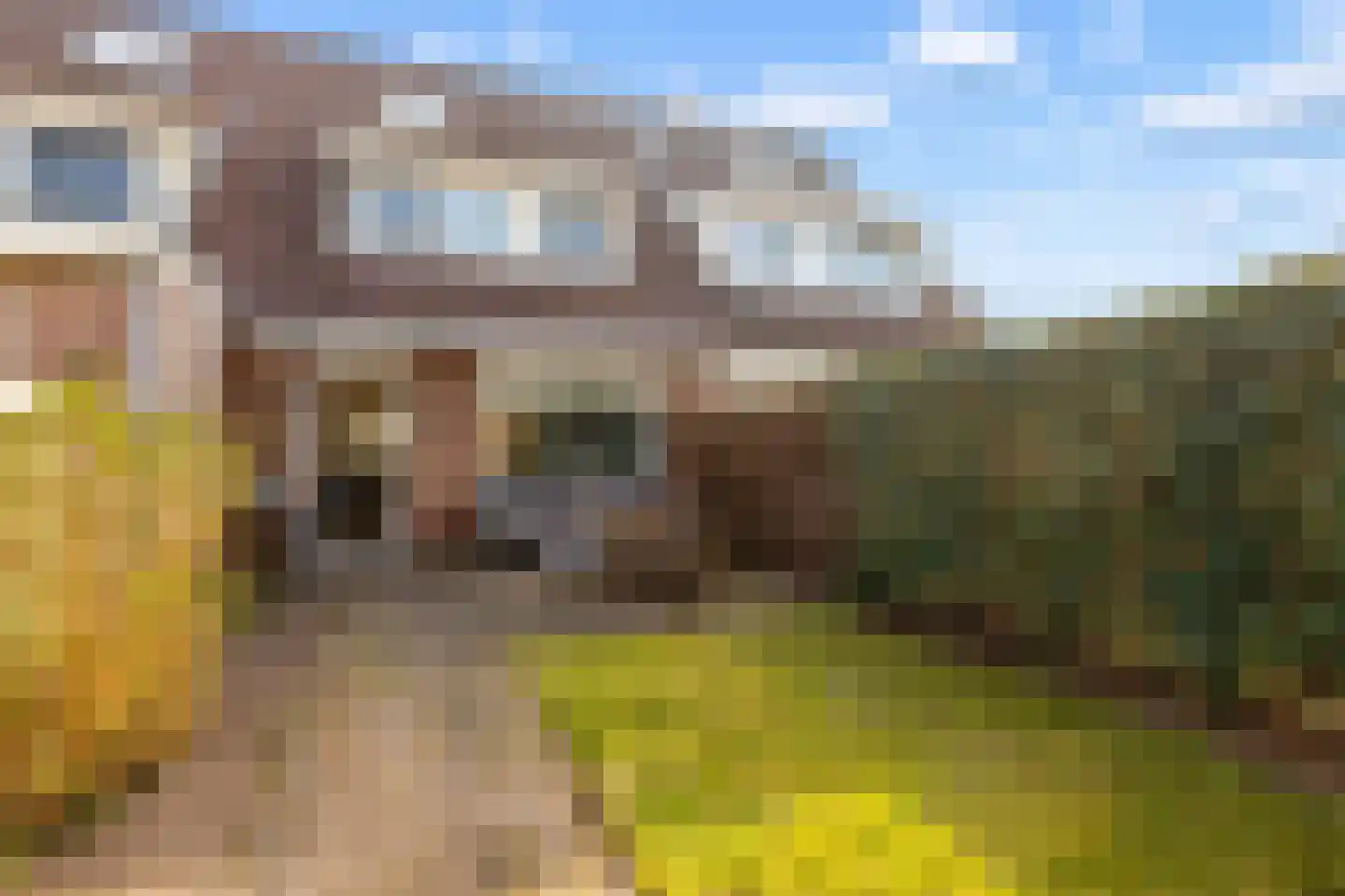 Schepenen 60 Naarden thumbnail 43