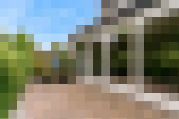 Schepenen 64 Hoorn thumbnail 41