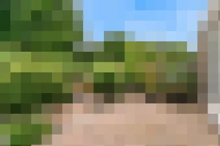 Schepenen 64 Hoorn thumbnail 42