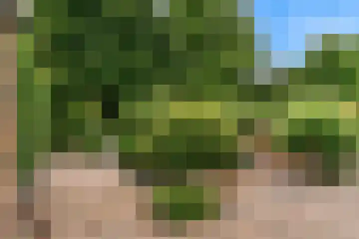Schepenen 64 Hoorn thumbnail 43